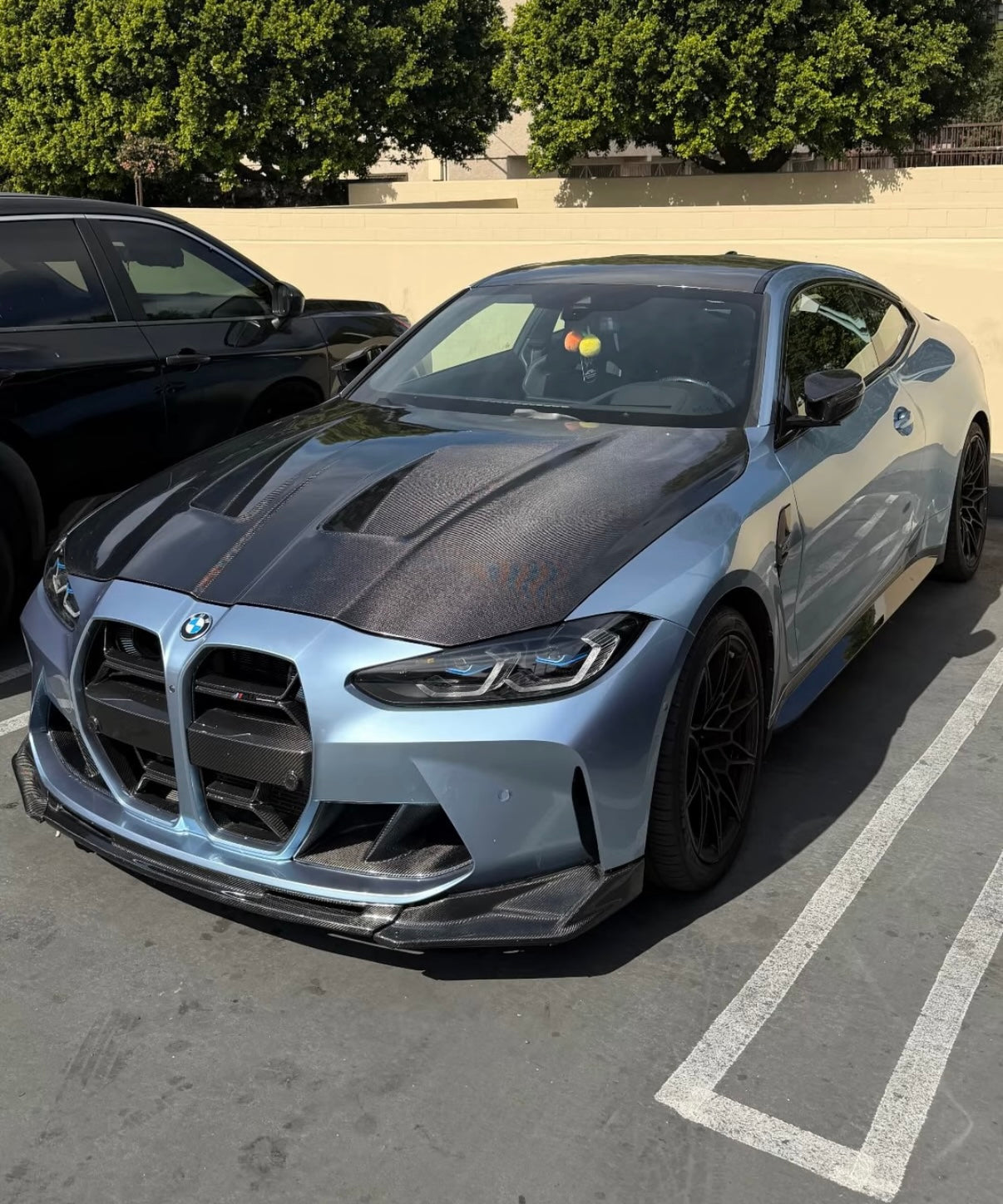 G8X Carbon Fiber AN Style Hood